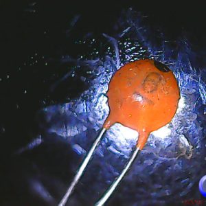 6p