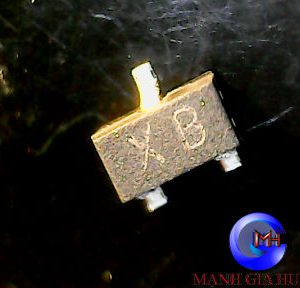 TR NPN 100A 50V RN1402 (XB)