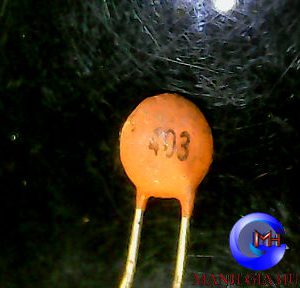 TỤ 403