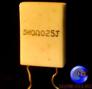 R 0.025 5W